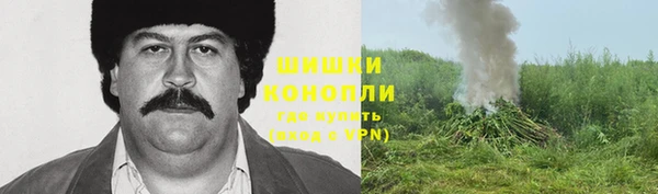 apvp Балахна
