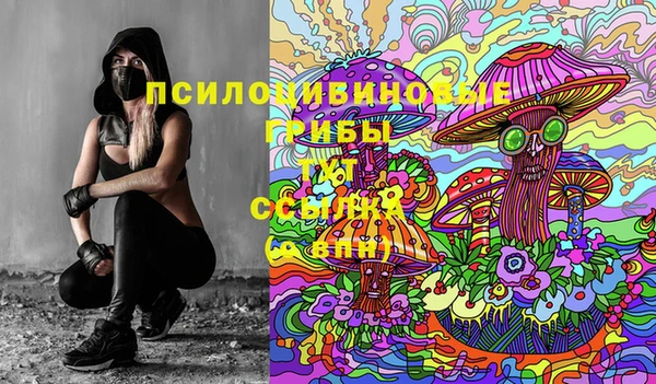 каннабис Аркадак
